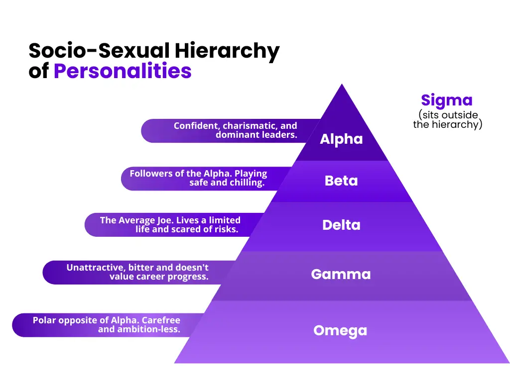 alt="socio sexual hierarchy"