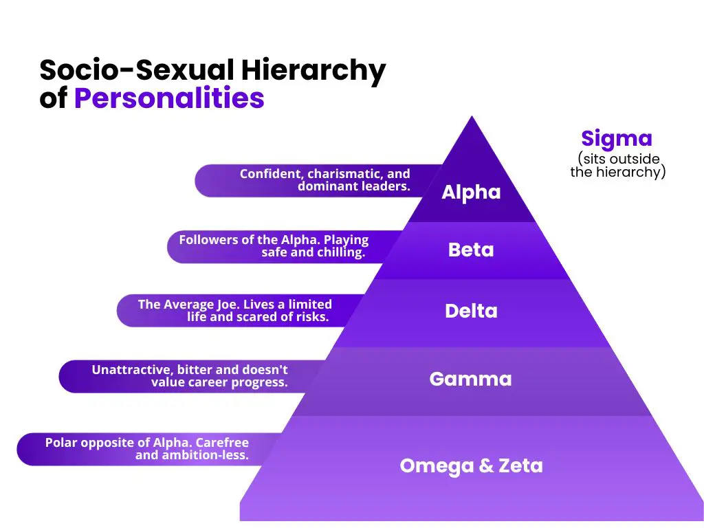 alt="socio sexual hierarchy"